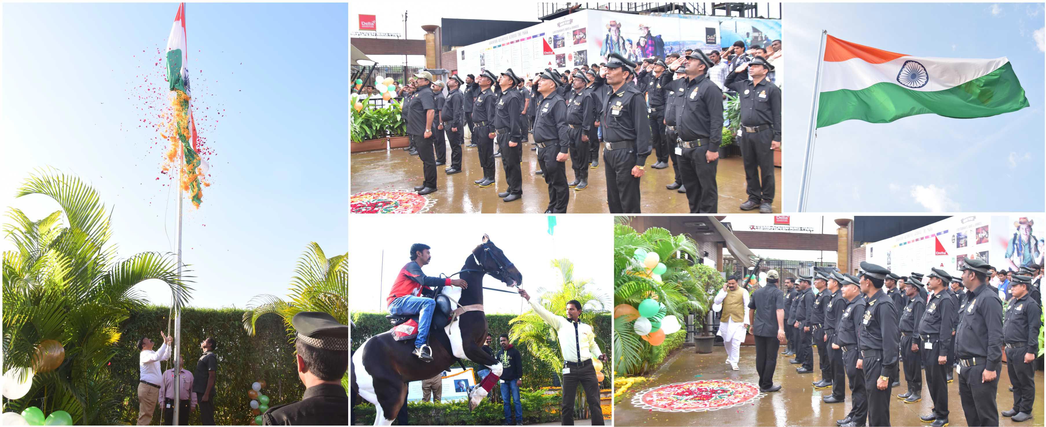 Flag_hositing_collage2