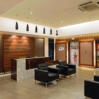 Eros International: Della project